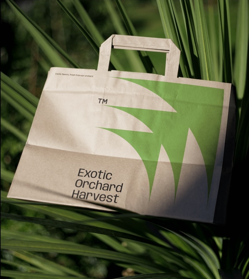 ekologická papírová taška kraft